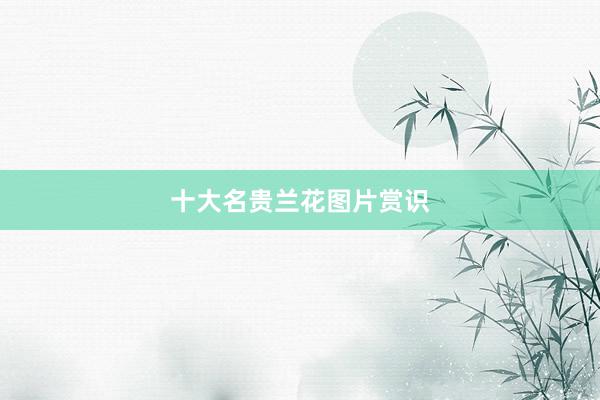 十大名贵兰花图片赏识