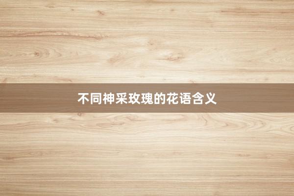 不同神采玫瑰的花语含义